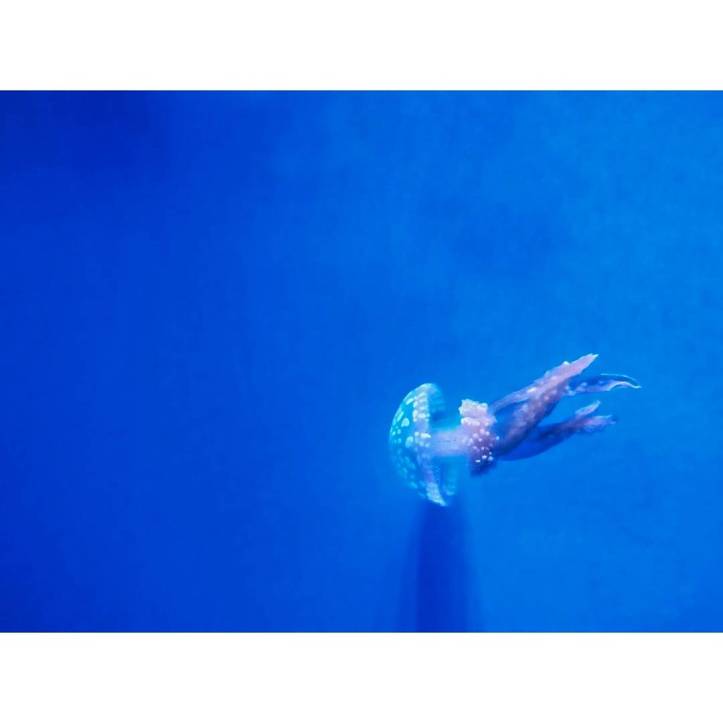 img_20170714_105858_256